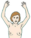 Checking for Breast Cancer