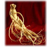 herbs for menopause ginseng