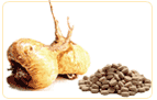 non-estrogenic herbs