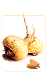 non estrogenic herbs recomendation