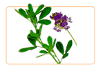 what is the treatment for osteoporosisS