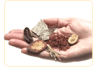 treatment other menopause symptoms with alternative methods
