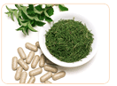 alternative treatment for menopause symptoms