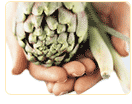 alternative treatment for hot flashes by alternative methods