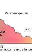 perimenopause
