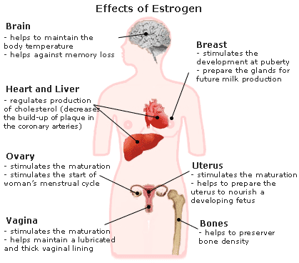 Effects of low testosterone in females