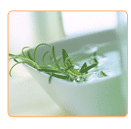 progesterone imbalance treatment via alternative treatments