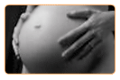 progesterone and fertility